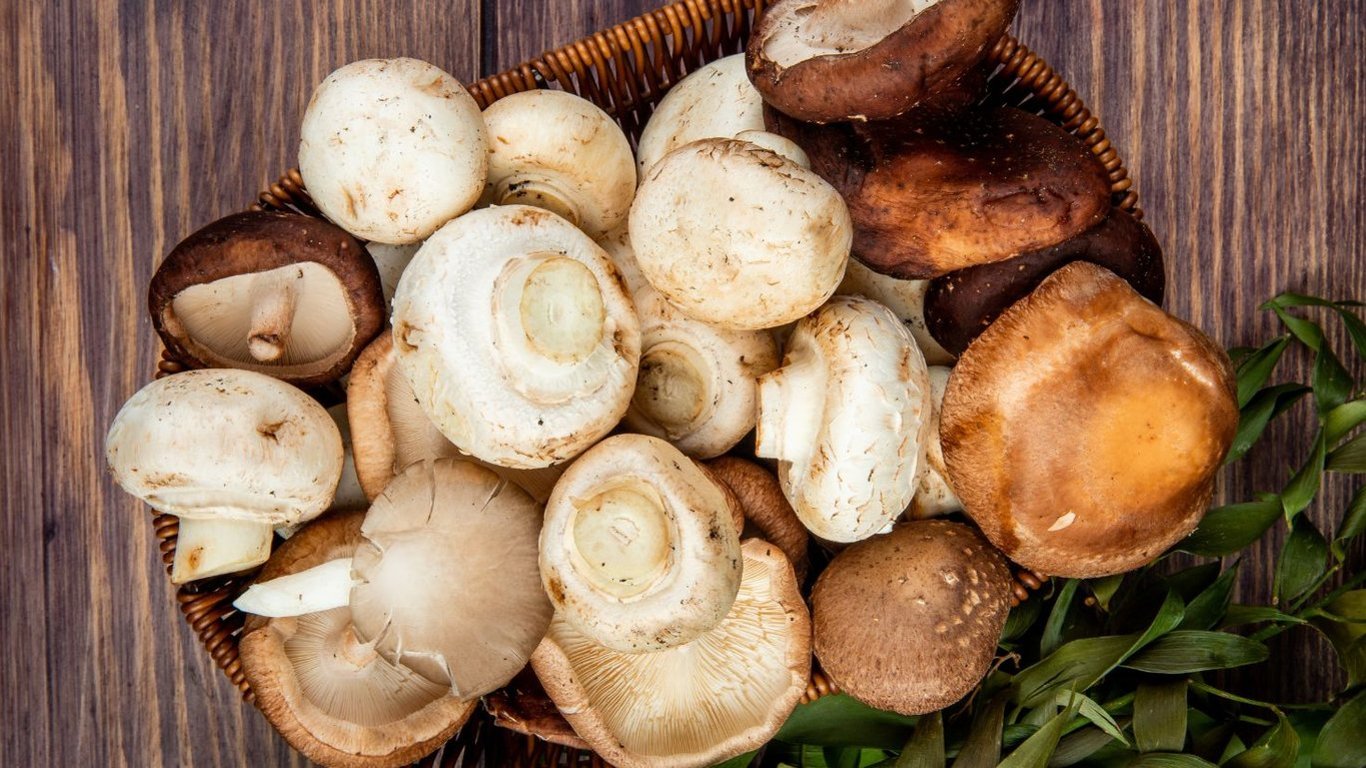 Как правильно сушить грибы в духовке, чтобы их не испортить — список рекомендаций