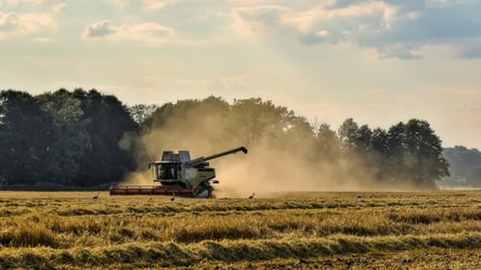 Цены на зерновые в Украине — сколько стоит 1 тонна сои в марте - 290x166