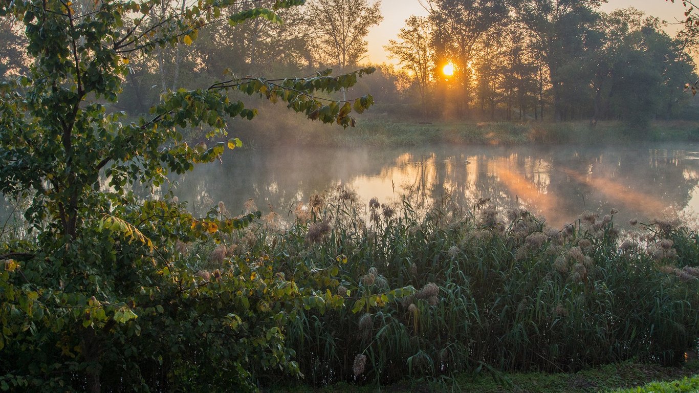 Дождь во время восхода солнца