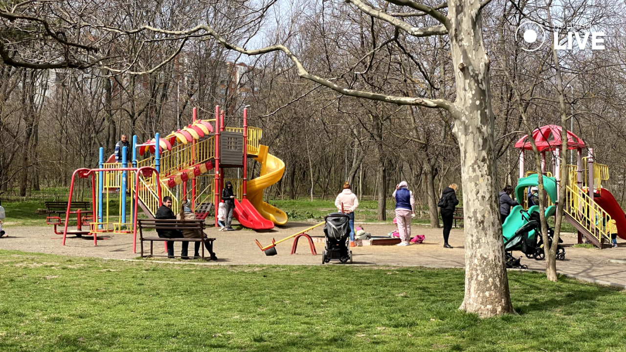 Природа Одеси прокидається — весняний квіт у парку Перемоги - фото 4