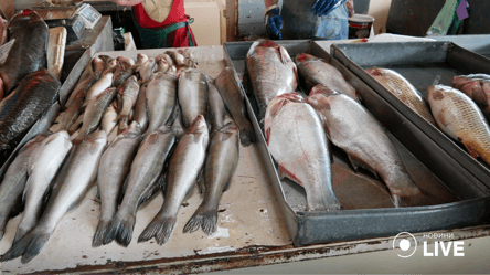 На Одещині рекомендують утриматись від вживання риби - 285x160