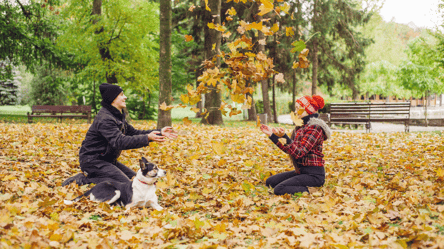 Куди з'їздити під Київ на вихідні — небанальні осінні локації - 285x160