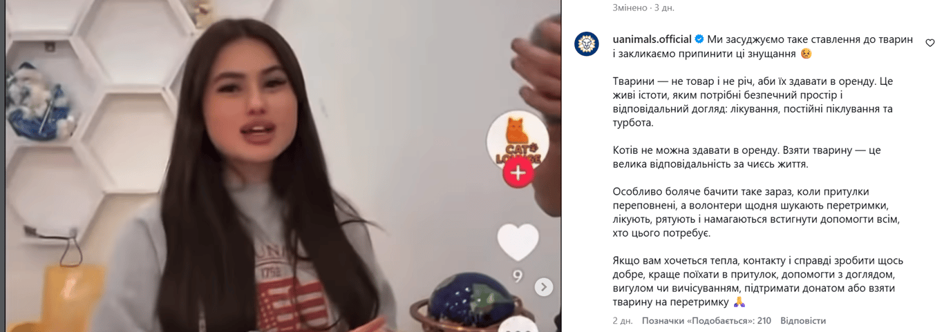 Коти в оренду — в Одесі заклад опинився в центрі скандалу - фото 1