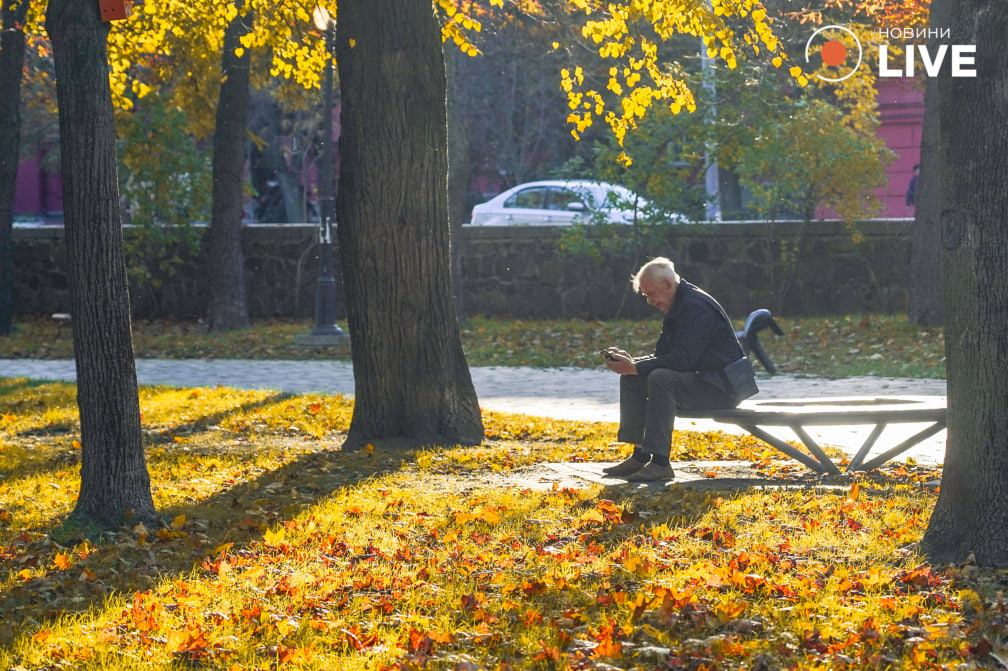Чоловік сидить у парку
