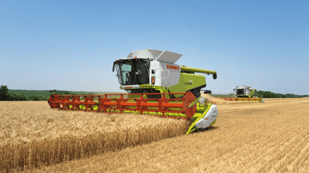 Ціни на зерно в Україні — скільки коштує пшениця 31 грудня - 285x160