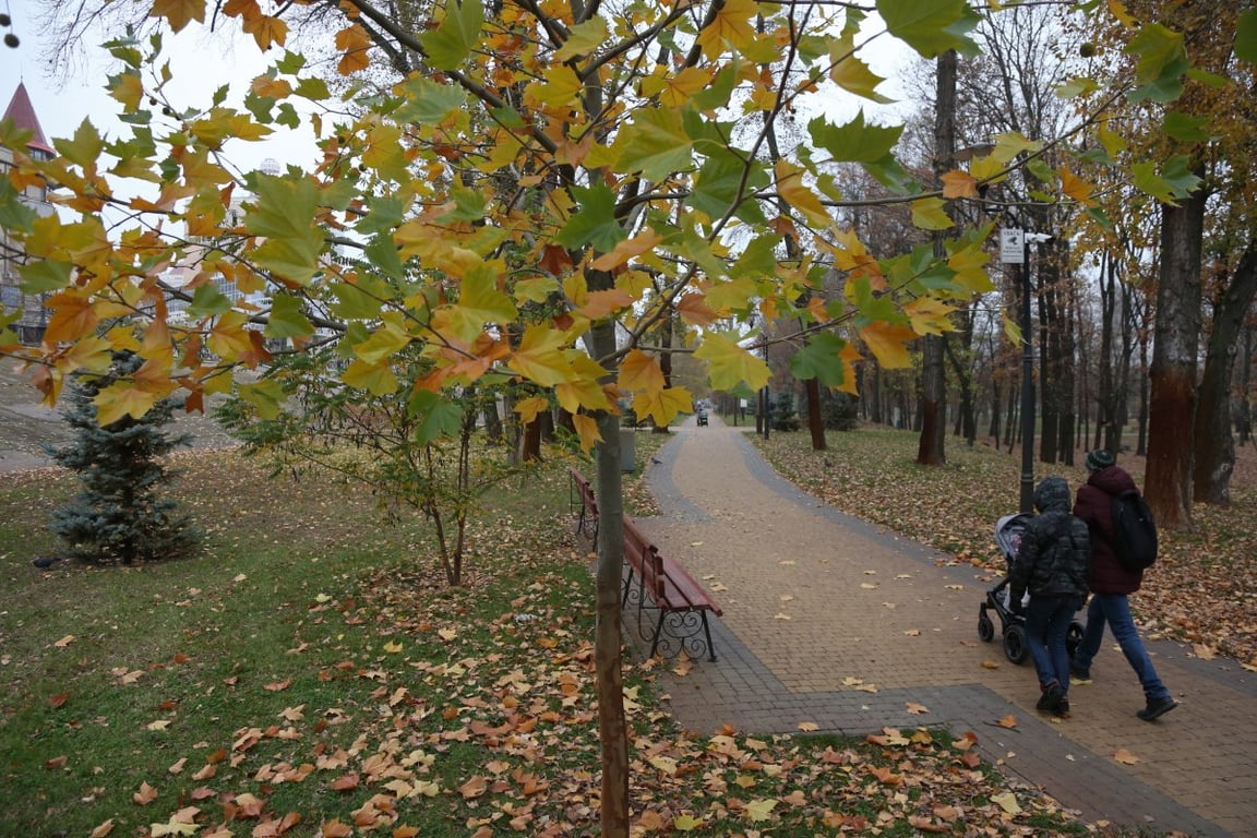 Люди гуляют в парке