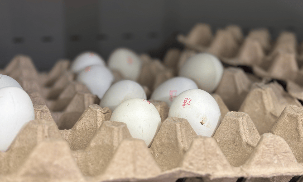 За бюджетними яйцями буде черга — куди піти, щоб купити дешевше - фото 3