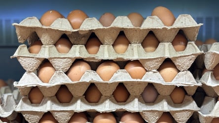 Покупателей оставили без бюджетных яиц — что произошло с ценами в АТБ - 285x160