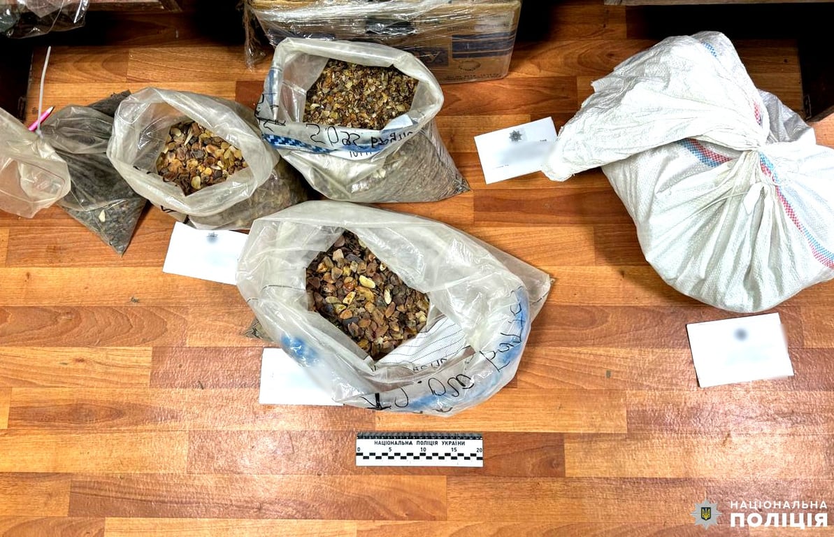 У чоловіка з Рівненщини вилучили близько тонни бурштину