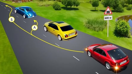 Непосида на дорозі — який варіант обгону дозволений ПДР - 285x160