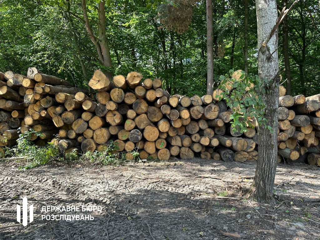 Незаконно зрубані дерева