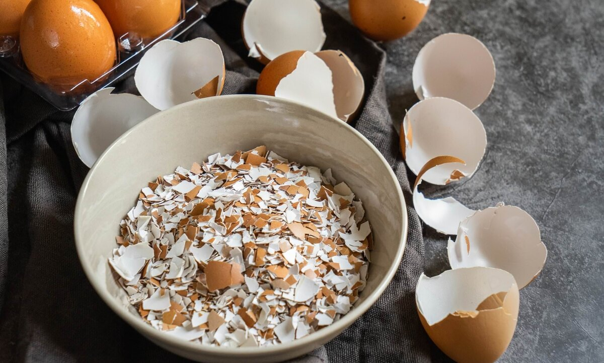 Измельченная яичная скорлупа в миске