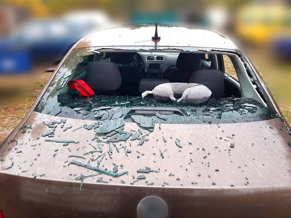 Инцидент в Переяславе Киевской области