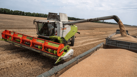 Ціни на зерно в Україні — скільки коштує пшениця на початку квітня - 290x160