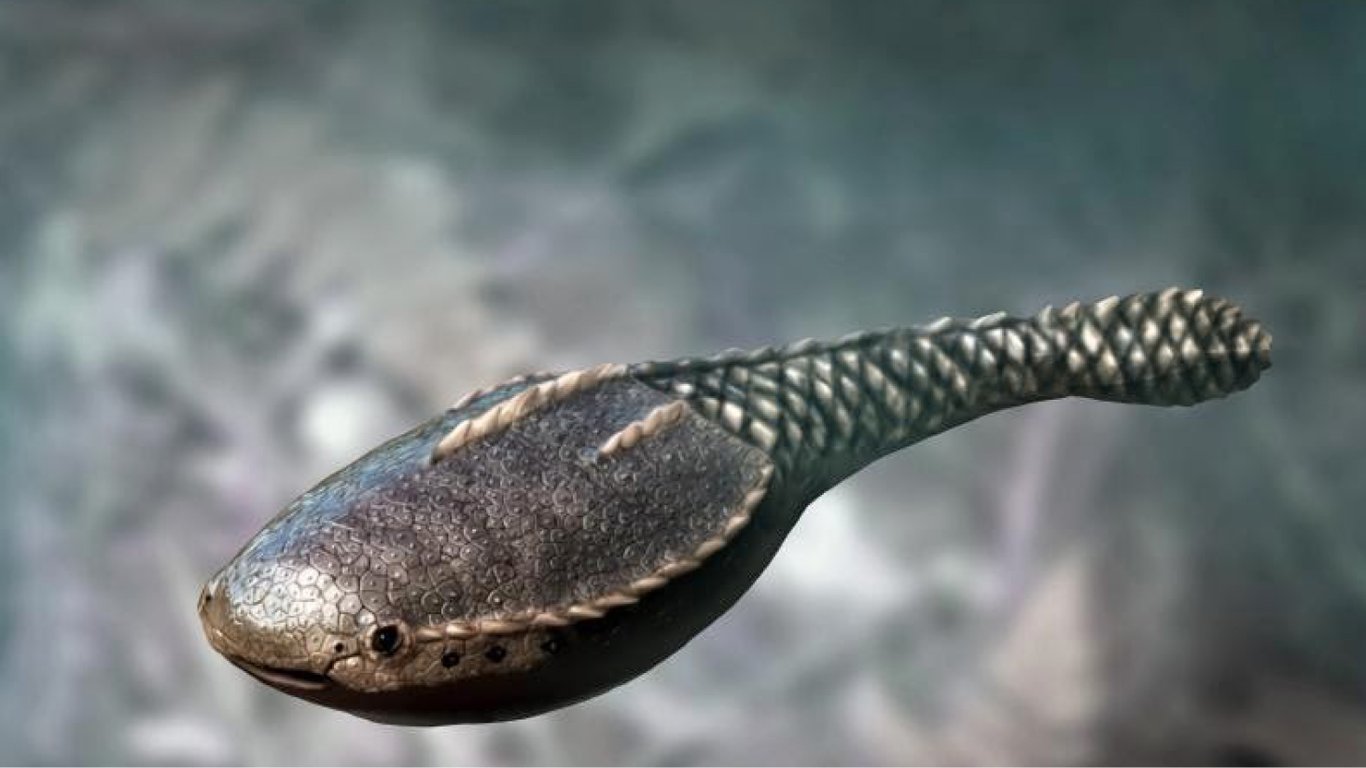 Як еволюціонував череп людини? Рештки стародавньої риби можуть відкрити правду