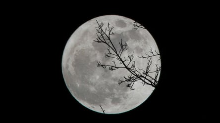 Великий астероїд летить просто в Місяць — які ризики для Землі - 285x160