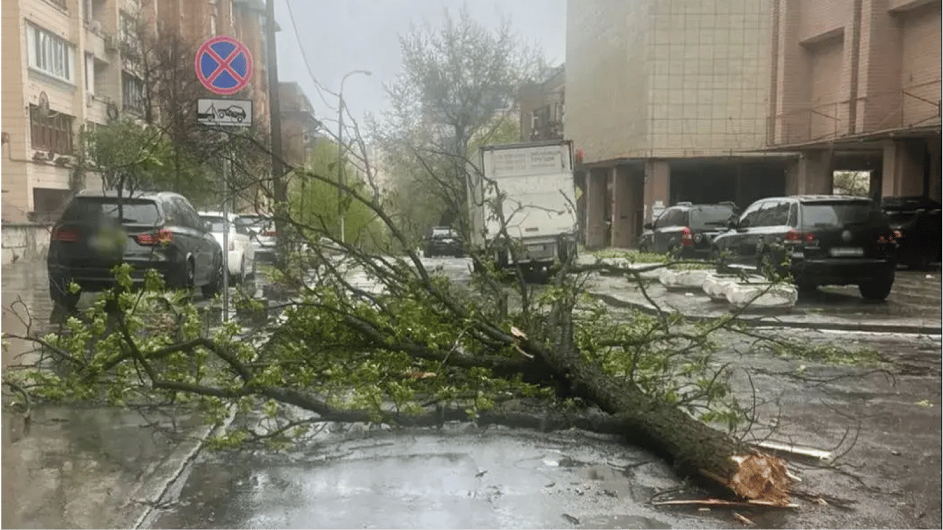 Негода накрила Київщину: вітер зірвав дах будинку та повалив дерева