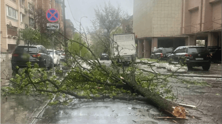 Непогода накрыла Киевщину: ветер сорвал крышу дома и повалил деревья - 290x166