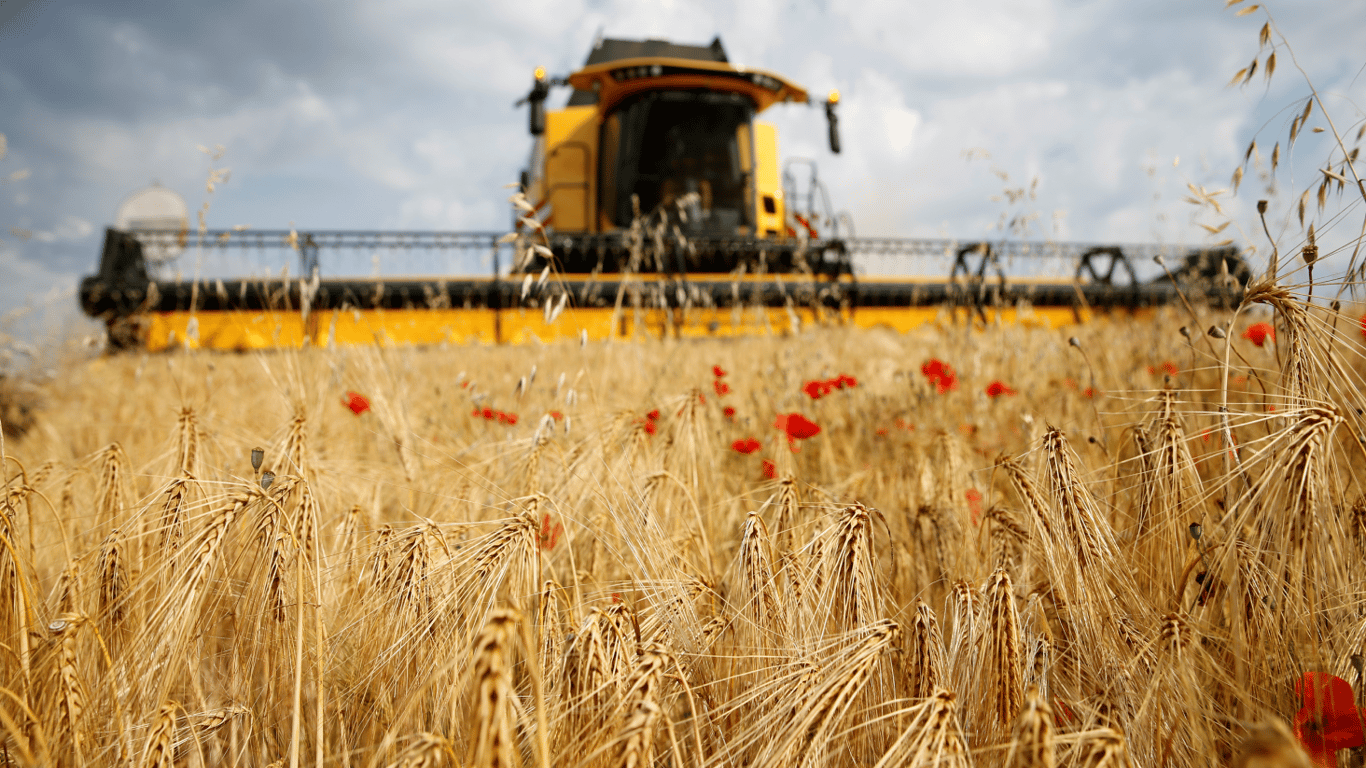Ціни на зернові в Україні станом на 2 березня 2024