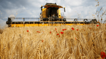 Ціни на зерно в Україні — скільки коштує ячмінь на початку березня - 285x160