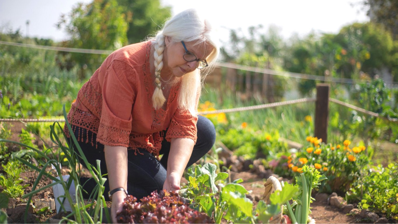 Які дві дати у липні 2024 найнебезпечніші для садових та городніх робіт