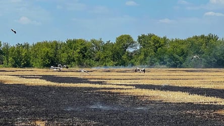 В Одеській області згоріло 16 га сільськогосподарських земель - 285x160