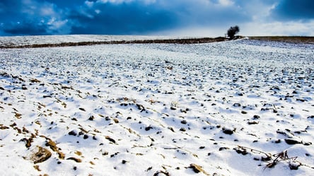 Право на землю — чи можна приватизувати ділянку у 2026 році - 285x160