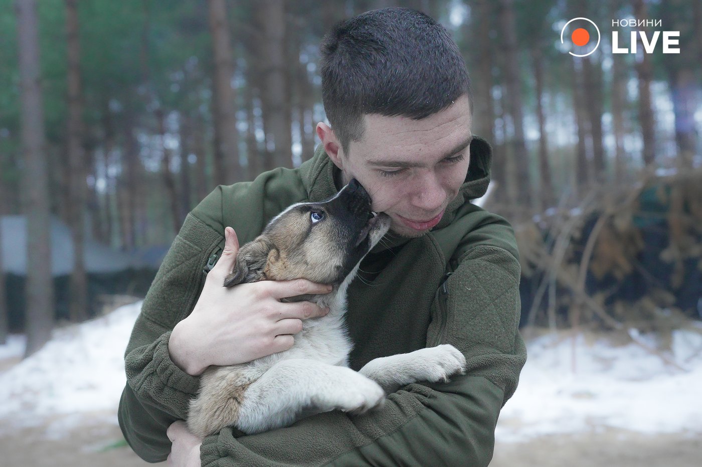 тварини на фронті