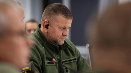 У Залужного прокомментировали "сомнения" генерала Милли в украинском войске - 285x160