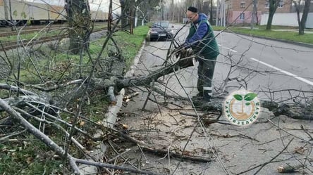 В Харькове непогода повредила более 80 зданий и повалила десятки деревьев - 285x160