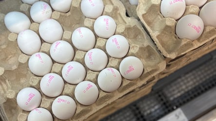 В АТБ переписали цены на яйца — сколько теперь стоит одна штука - 285x160