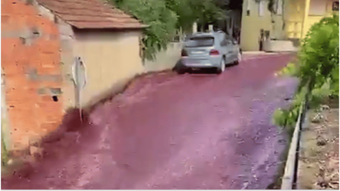 На улице португальского города Левира разлились реки вина: видео