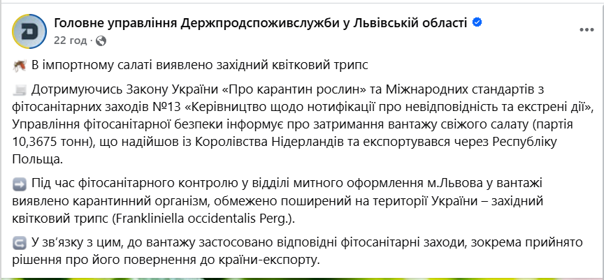 небезпечний салат в Україні