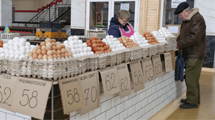 Цены на яйца могут вырасти до 70 грн за десяток — какие причины - 290x166