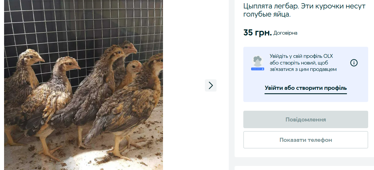 Экзотика на OLX — каких домашних любимцев продают украинцам - фото 1