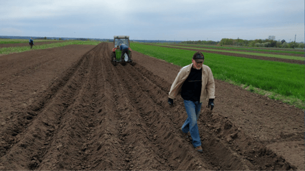 Ціна землі — чому фермери платять за оренду більше, ніж селянам - 285x160