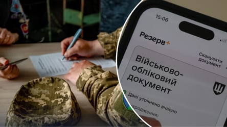 Не обновляли данные для ТЦК за рубежом много лет: шансы на штрафы - 285x160