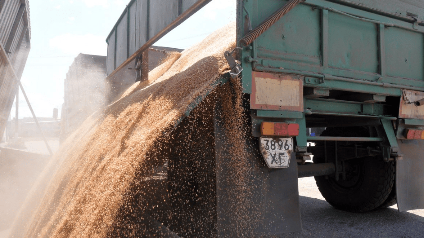Экспорт зерна идет без России и он будет только расти