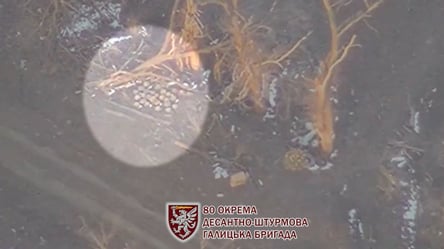 Українські воїни знищили замаскований ворожий склад поблизу Кліщіївки - 285x160