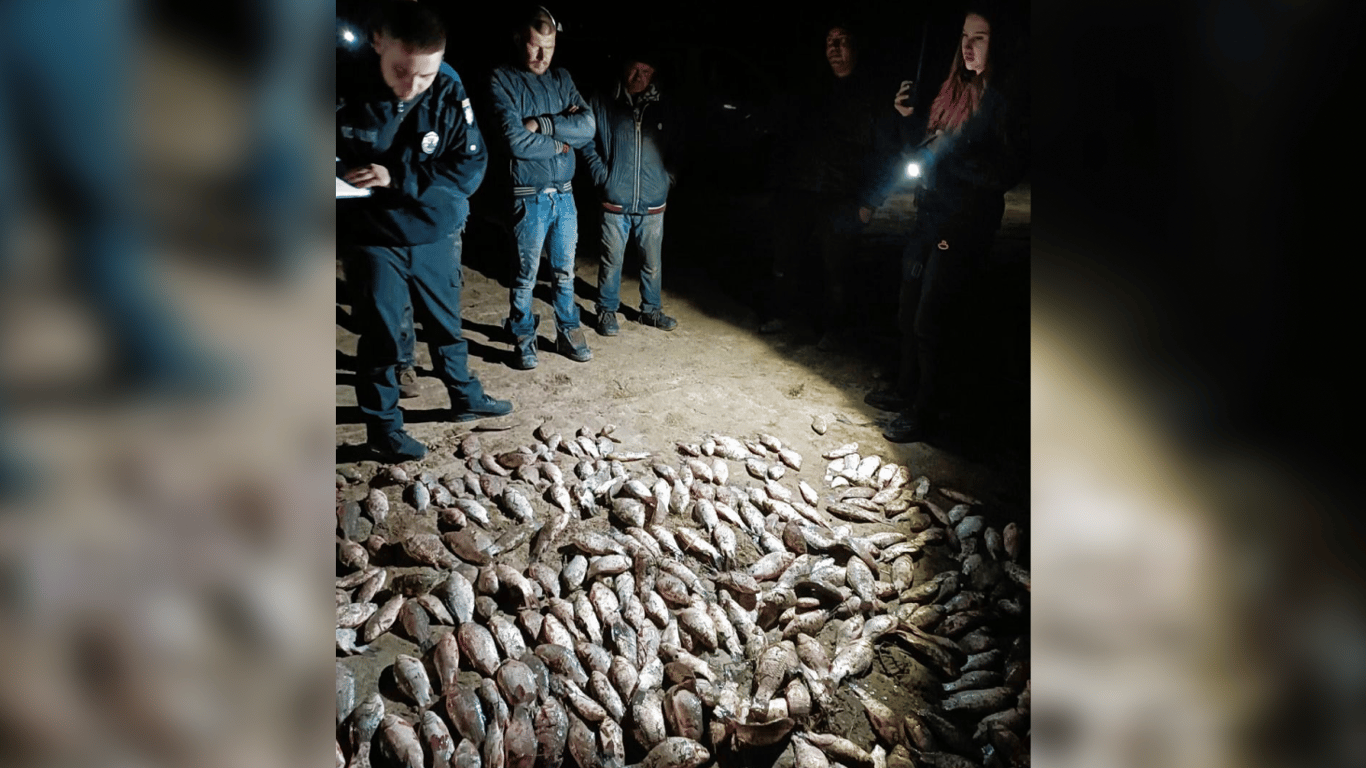Виловив риби майже на пів мільйона — на Одещині викрили браконьєра