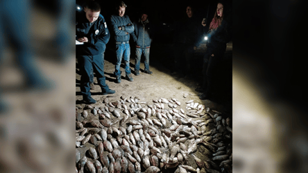 Виловив риби майже на пів мільйона — на Одещині викрили браконьєра - 285x160