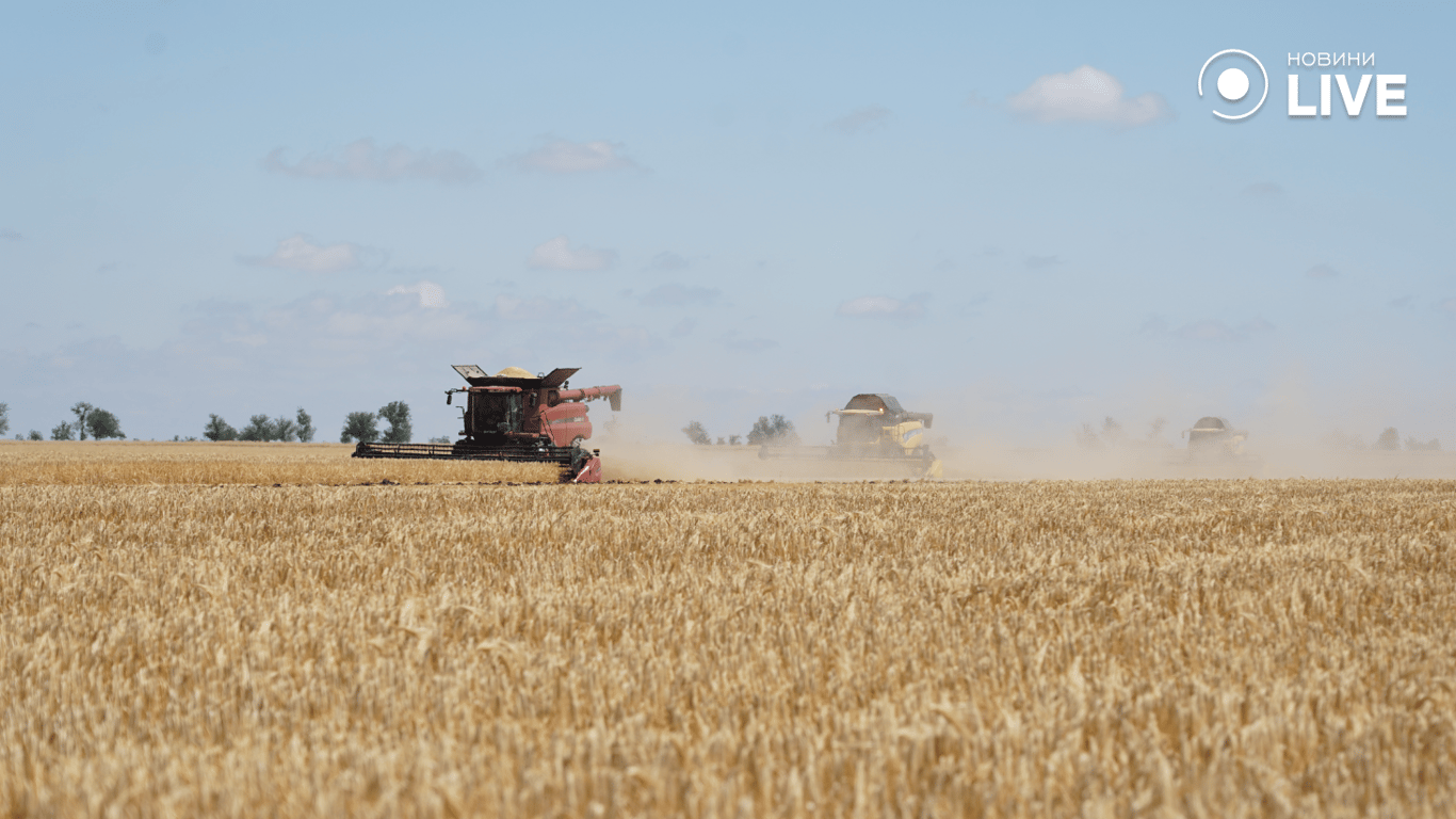 Жатва 2024: как проходит уборка зерна в Одесской области