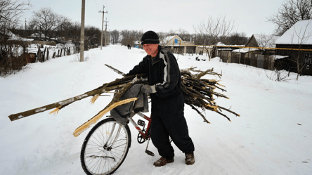 Сухостой на пустыре — можно ли срезать на дрова без разрешения в 2026 году - 285x160