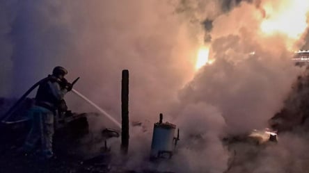 РФ атакувала Чернігівщину: спалахнуло пшеничне поле - 285x160