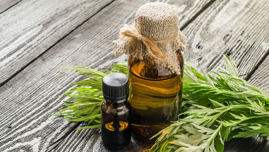 Настой из полынь-травы, защищающий растения от вредителей