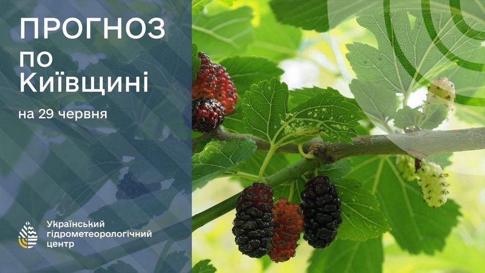 Прогноз погоди на 29 червня. Фото: Укргідрометцентр