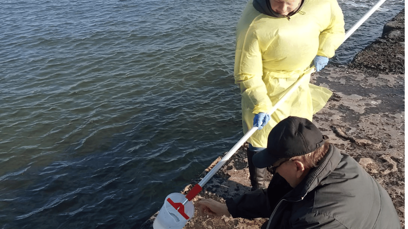 Проверили состояние морской воды в Одессе — есть ли загрязнение