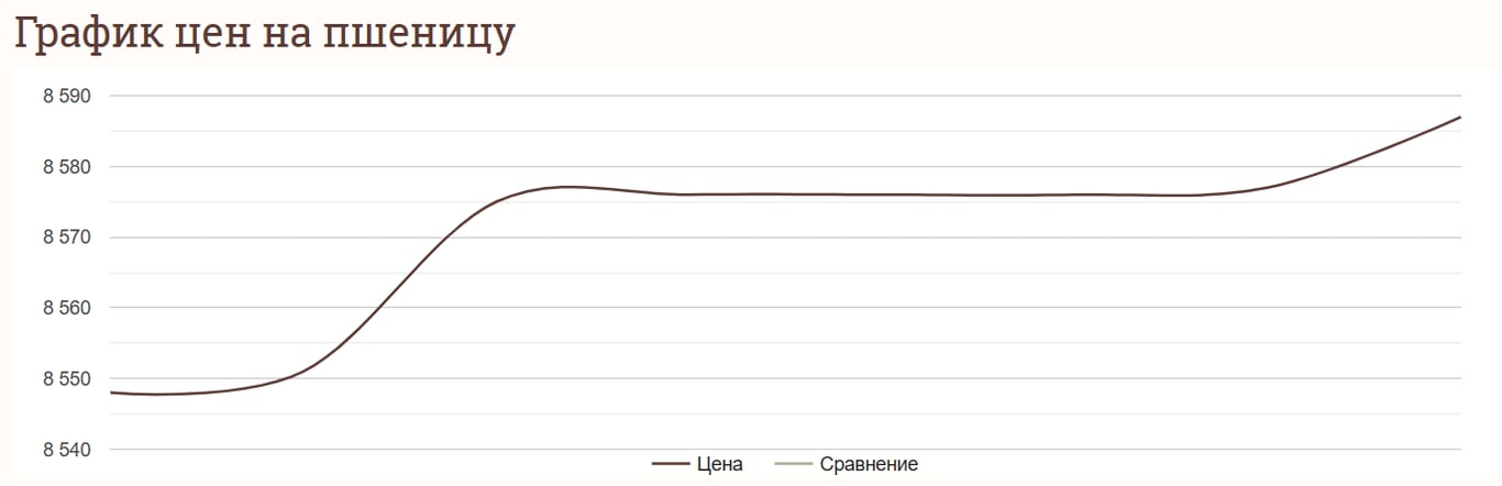 Ціни на пшеницю та зернові в Україні станом на 11 грудня 2024 року