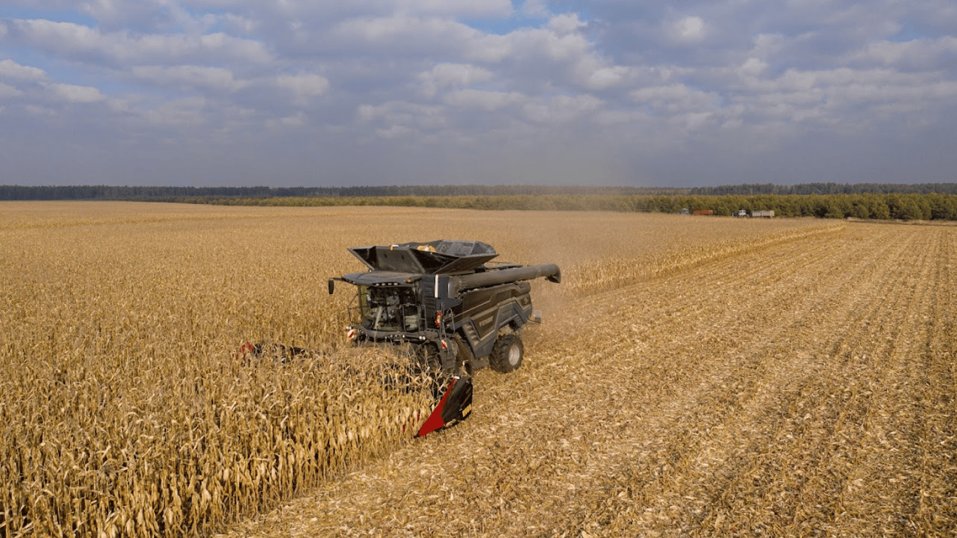 Цены на зерновые в Украине по состоянию на 25 мая 2024 года — сколько стоит кукуруза