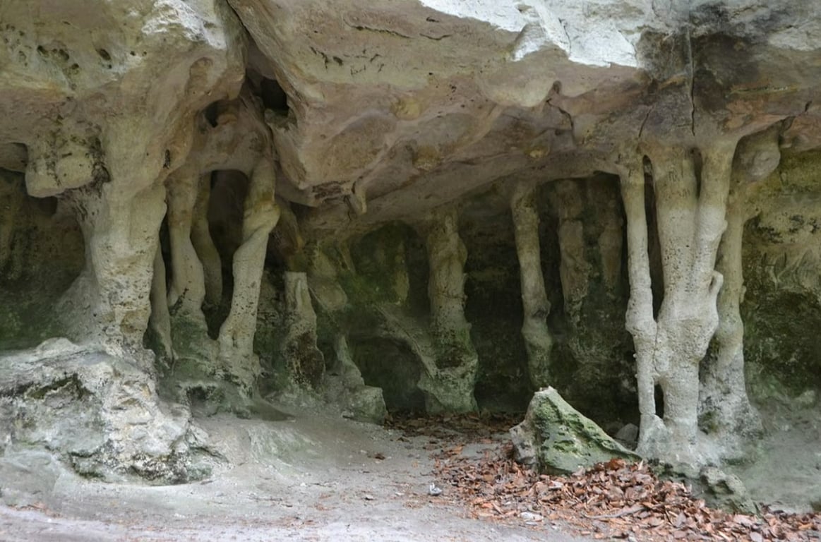 Львівщина — де провести вихідні - фото 2